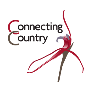 Connecting Country logo